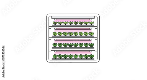 Microgreens on a growing tray.