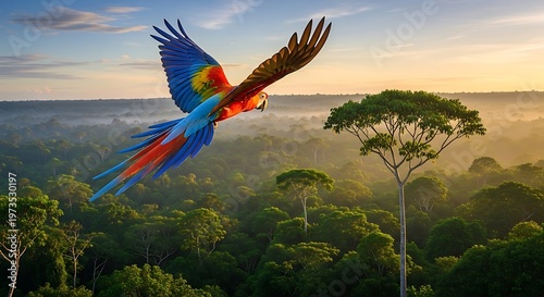 Vibrant macaw soaring above lush green rainforest at sunset, scenic view.