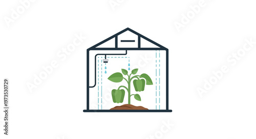 Greenhouse Plant Growing Indoors Naturally.