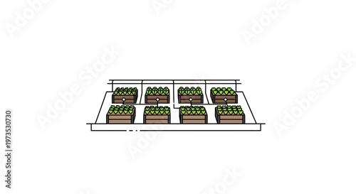 Greenhouse Seedlings in Plant Trays.