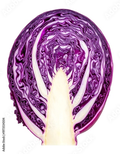 A detailed cross-section of a vibrant, halved red cabbage, showing layered leaves and core against a white background