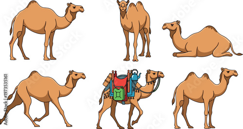 Camel Collection Desert Animals Caravan Travel Wildlife Flat Vector Set