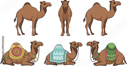 Camel Collection Standing Sitting Decorated Arabian Desert Animals Flat Vector Set