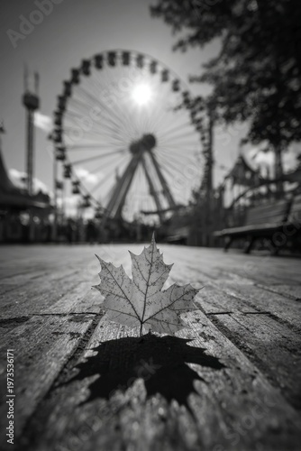 a maple leaf falling in an amusement park, black and white, sun shining through the leaves, ferris wheel behind it.