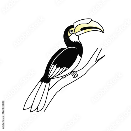 Oriental Pied Hornbill perched on a branch, a simple black and white vector illustration.