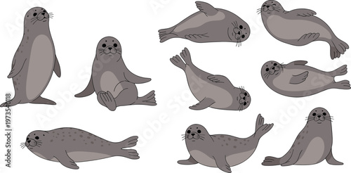Cartoon vector illustration of gray spotted seals in dynamic marine poses with playful character style