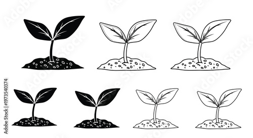 Illustration of sprouting seedlings in varying stages of growth
