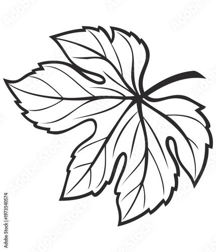 Grape leaf outline vector isolated on white background