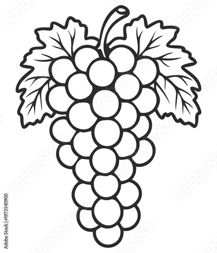 Outline of a bunch of a grapes with leaves isolated on a transparent background. Black and white image for coloring or printing