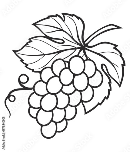 Grape outline with leaf line style for coloring page