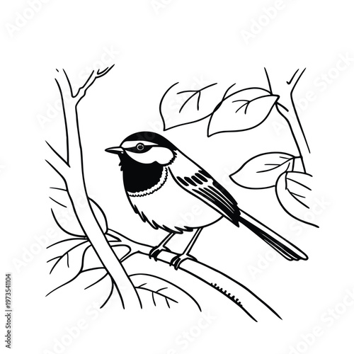 Black and white illustration of a black-throated tit bird perched on a branch with leaves.
