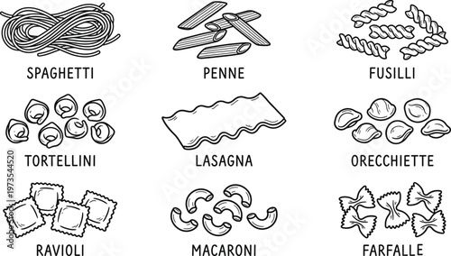 A hand drawn collection of various italian pasta shapes with labels perfect for culinary arts and food illustration