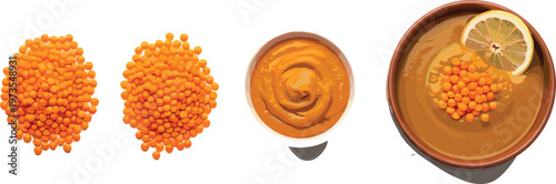 Vector illustration set of dry red lentils piles smooth orange lentil puree and a bowl of hot soup garnished with lemon and herbs