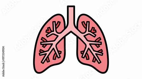 An illustration of the human lungs and their branching structure