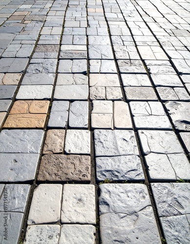 Angled view showcasing a cobblestone walkway in a sunny setting. The rectangular stones vary in color, creating a visually dynamic pattern