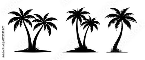 Palm tree silhouette tropical island trees