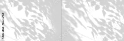 Soft natural leaf shadow overlay on transparent background, minimal botanical light effect for product mockup, branding, packaging and social media design.