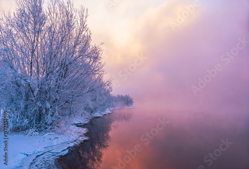 Valokuva the frozen Yenisei, snow-covered trees and the shore, calm water, fog and pink sky on the horizon