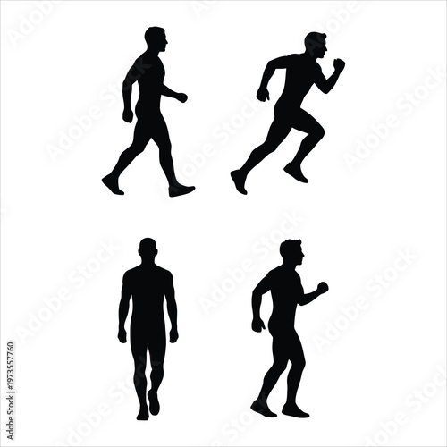 Human Silhouette Walking Running Standing Vector