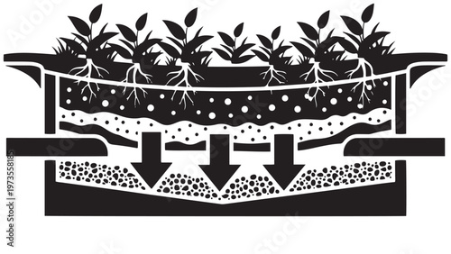 Detailed cross-section diagram illustrating a green infrastructure bioswale system for sustainable stormwater management and natural water filtration through planted soil layers.