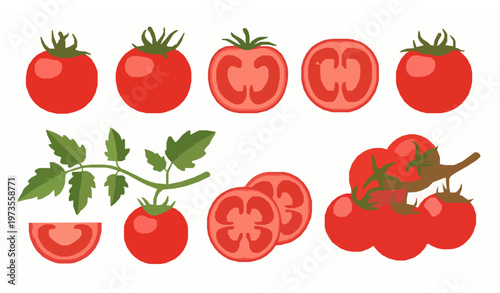 Fresh red tomato vector set with whole sliced and vine tomatoes flat food illustration collection