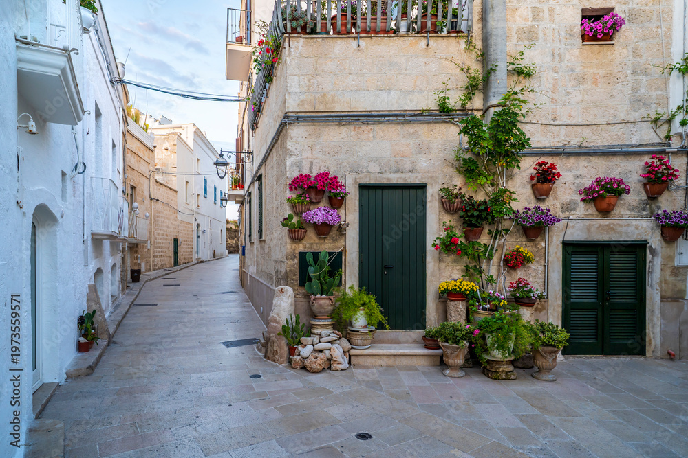 Obraz premium The old city of Monopoli Town in Italy