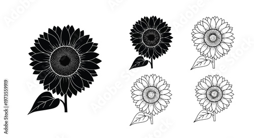 Black and white sunflower illustrations with varying degrees of detail