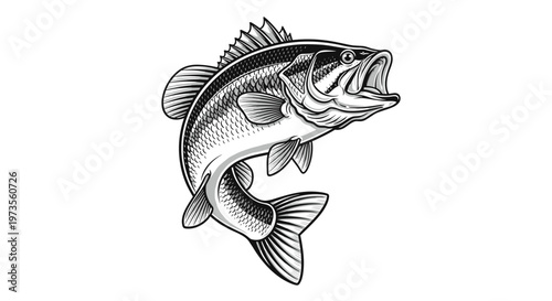 Dynamic black and white illustration of a largemouth bass leaping from the water, showcasing its powerful form and detailed scales.