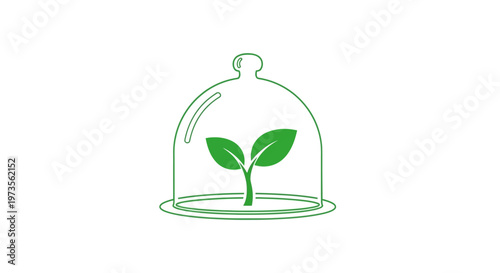 Green plant under glass cloche cover.