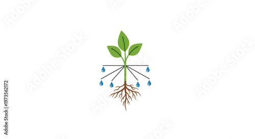 Green plant with roots growing.