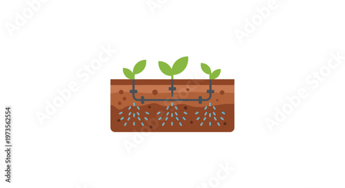 Green seedlings growing in soil.