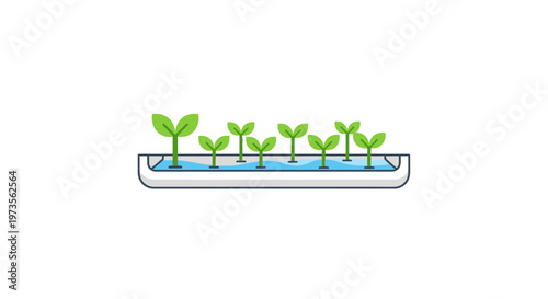 Green seedlings in a tray.