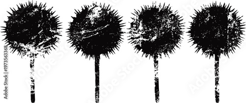 four vintage silhouette dandelion seed heads botanical floral elements in black and white