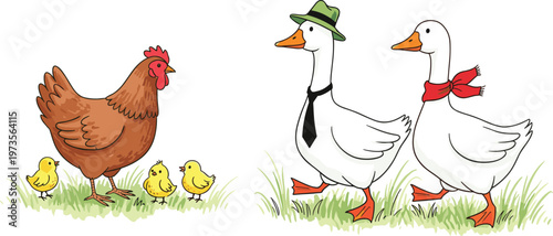 Farm Animal Family Set with Chicken, Ducks, and Yellow Chicks in Fun, Playful Designs for Children's Illustrations