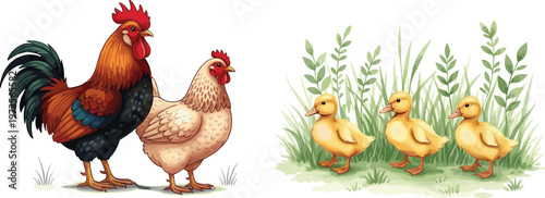Farmyard Animals Set with Rooster, Hen, and Yellow Ducklings for Children's Illustrations and Nursery Designs