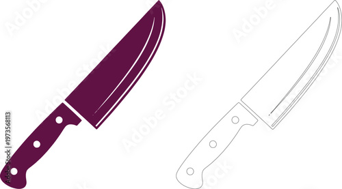 Two kitchen knives with different handles