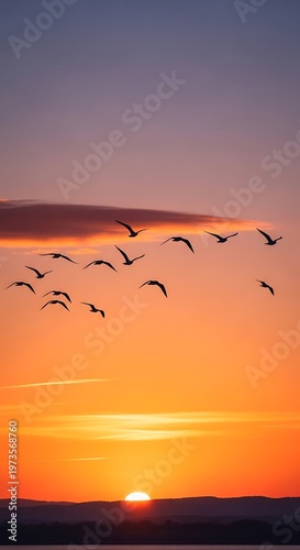 Birds flying in sunset sky landscape.