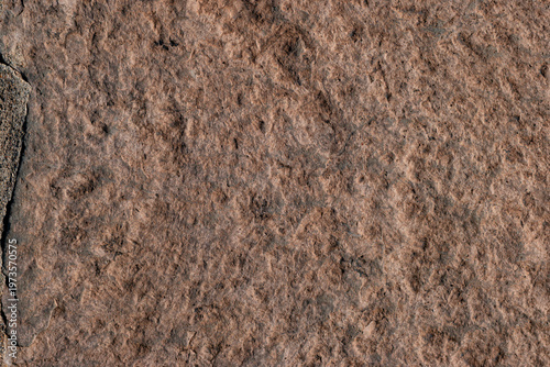 Wallpaper Mural Rustic volcanic stone texture background for design architecture and games Torontodigital.ca