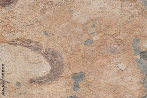 Wallpaper Mural Oxidized volcanic stone exterior cladding texture background Torontodigital.ca