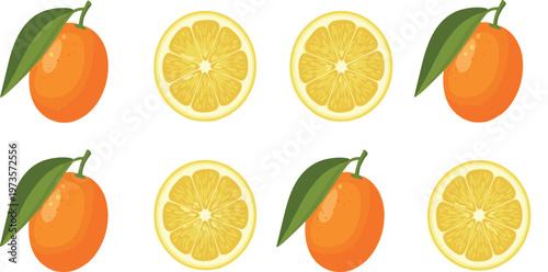 Lemon and orange fruit set with whole and sliced citrus pieces flat colorful vector illustration fresh healthy food isolated