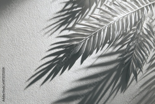 Shadows of Palm Leaves on a Textured Wall.