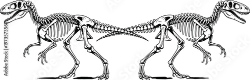Dinosaur skeleton symmetrical illustration, theropod fossil silhouette, mirrored prehistoric design, anatomy detail art, paleontology science concept drawing
