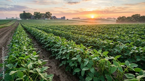 Cultivating Fields at Dawn: An expansive field of thriving crops stretches towards the horizon, bathed in the soft hues of a rising sun, evoking feelings of growth, abundance.