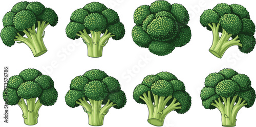 Collection of Fresh Broccoli Heads in Various Positions for Healthy Eating, Vegetables, Organic Food, and Nutrition Designs