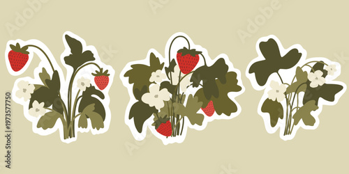 Set of stickers Strawberry. A set of cute stickers depicting a strawberry plant with leaves, flowers and berries in a flat hand-drawn style.