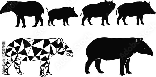 Tapir animal silhouette collection with realistic and geometric low poly styles isolated on white background, wildlife mammal vector illustration for zoo and nature design