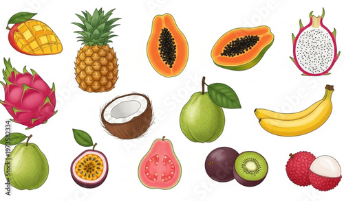 Fresh Tropical and Exotic Fruit Clipart Set – Colorful Vector Icons Collection