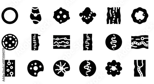 Black and white biology icons, cell biology symbols, microscopic signs, scientific illustrations, 20 vector graphics