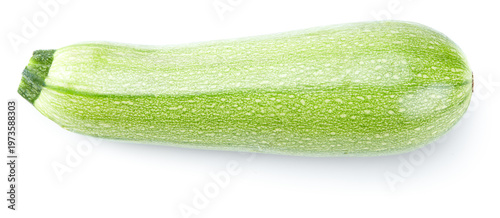 zucchini or marrow isolated on white background. clipping path