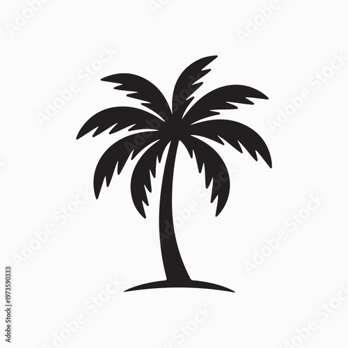 palm tree silhouette